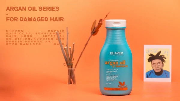 Professional Body Care Premium Hot Sale Shampoo with Low Price